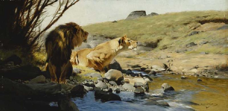 Ein Löwe und eine Löwin an einem Bach. von Wilhelm Kuhnert