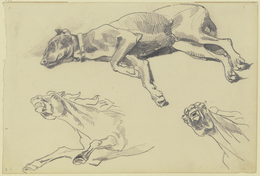 Studienblatt: Die Dogge Cäsar, auf der Seite liegend nach links, schlafend; darunter zwei Pferdestud von Wilhelm Trübner