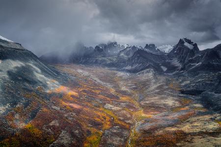 Herbstfärbung am arktischen Land