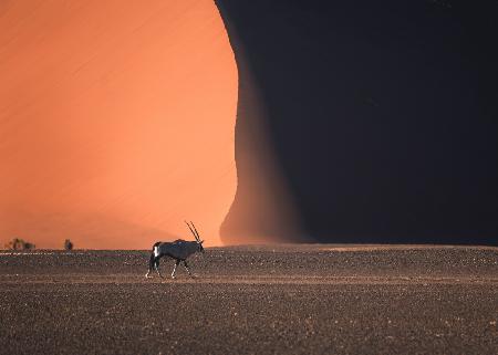 Namibia-Impressionen