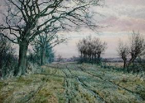 A Fenland Lane with Pollarded Willows 1887  on