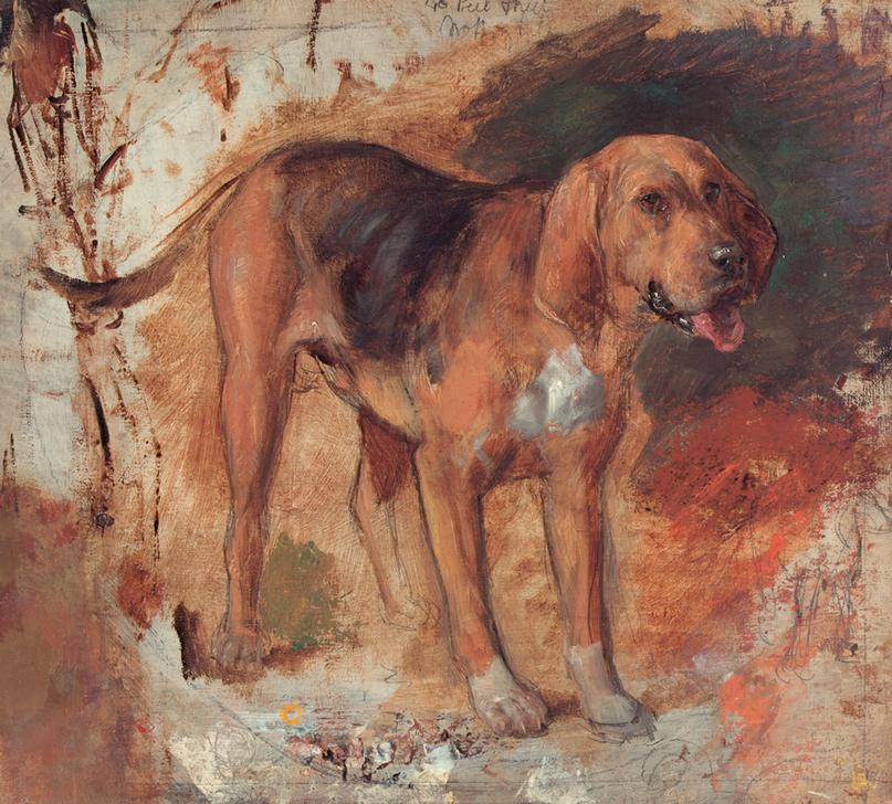 Study of a bloodhound (Studie eines Bluthundes od. Schweißhundes) von William Holman Hunt