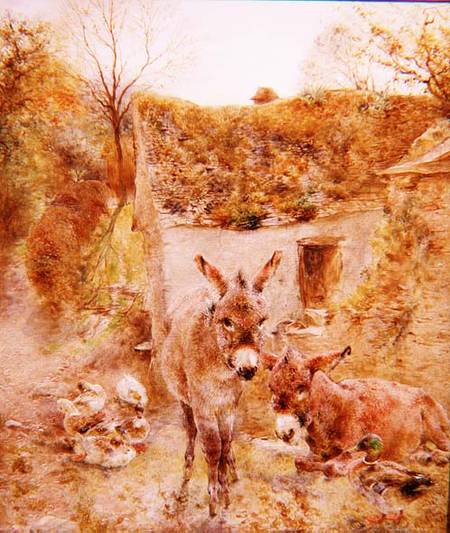 Donkeys and Ducks in a Farmyard von William Huggins
