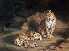 A Pair of Leopards 1845