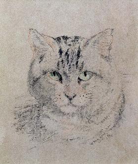 Tabby Cat 1874