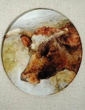 Head of a Longhorn Cow 1867
