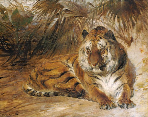 Tiger von William Huggins