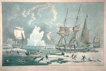 Northern Whale Fishery, engraved by E. Duncan von William John Huggins