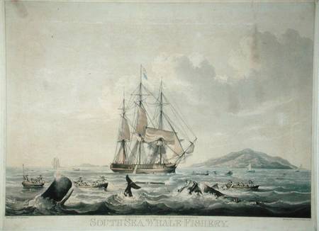South Sea Whale Fishery, engraved by T. Sutherland von William John Huggins