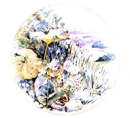 Wild Flowers and Vegetation, in a Lakeland District von William Linnaeus Casey