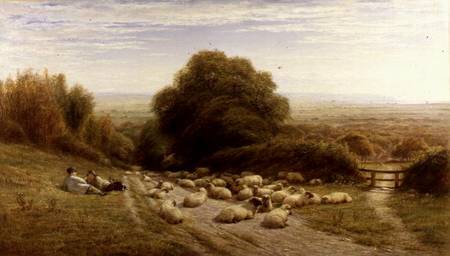 The Sunny Side of a Shepherd's Life - Near Eastbourne von William Snr. Luker