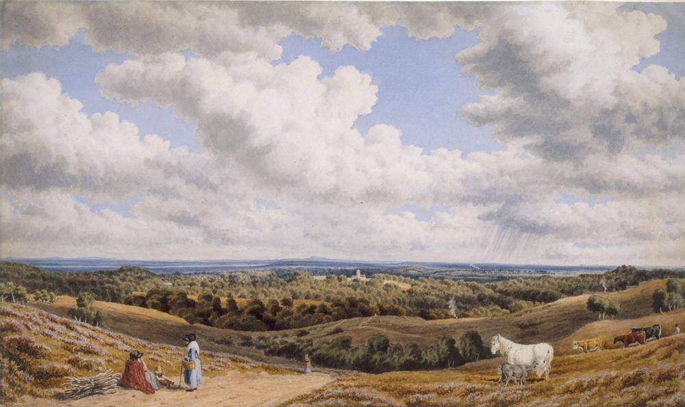 A Heathy Scene near Minstead in the New Forest looking Towa von William Turner of Oxford