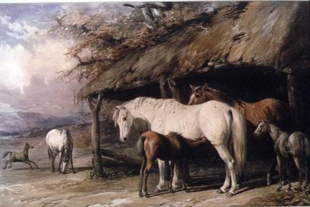 Mares and Foals von William u. Henry Barraud