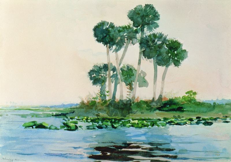St. John's River Florida von Winslow Homer