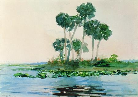 St. John's River Florida 1890  on