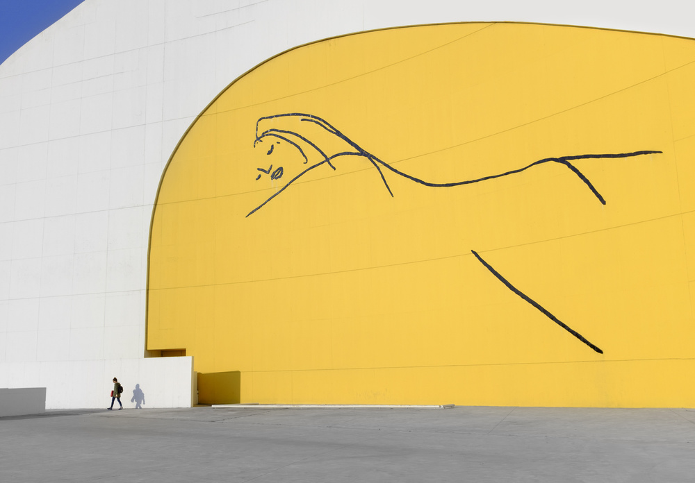 Niemeyer-Zentrum von Xavier Garci